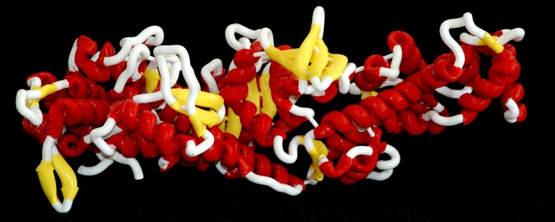 a very large 3d-print of myosin protein, measuring 60cm long