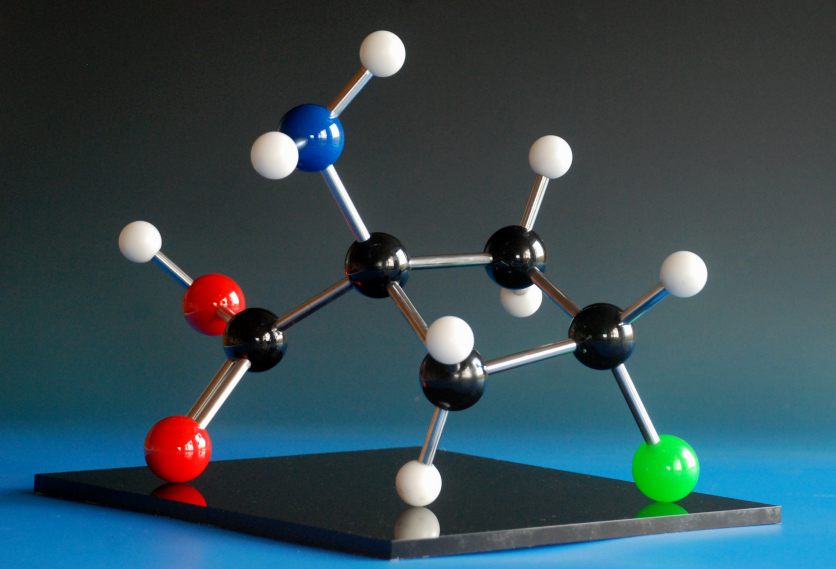 A brass molecular model of estradiol