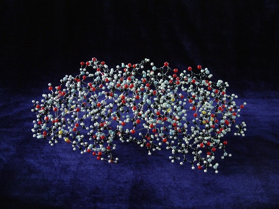 A model of insulin showing all the atoms, made with acrylic balls and steel rods